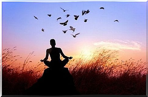 Man meditating at sunset