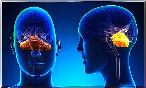 Ataxia and the cerebellum