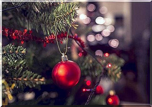 Red bauble in Christmas tree