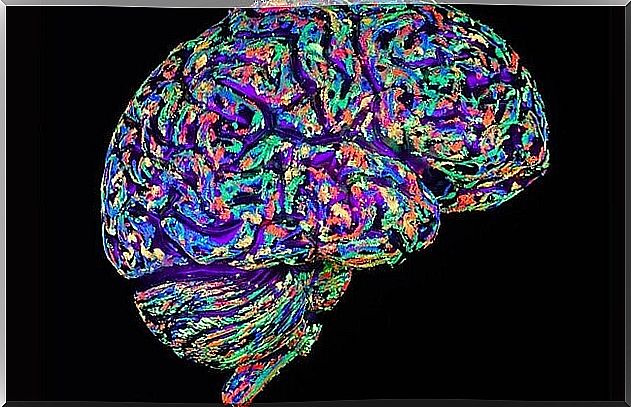 A colorful, responsive brain