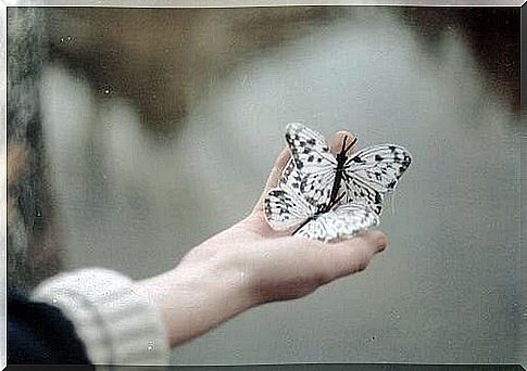 Two butterflies in a hand as a symbol of balance