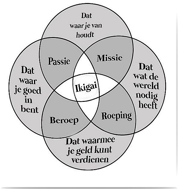 Ikigai chart