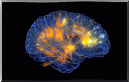 Connections in the brain 