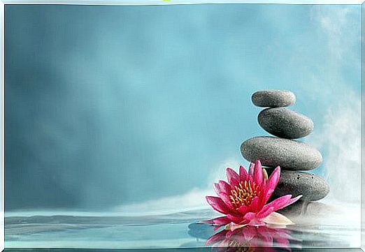 The serenity of a pile of rocks with a flower next to it