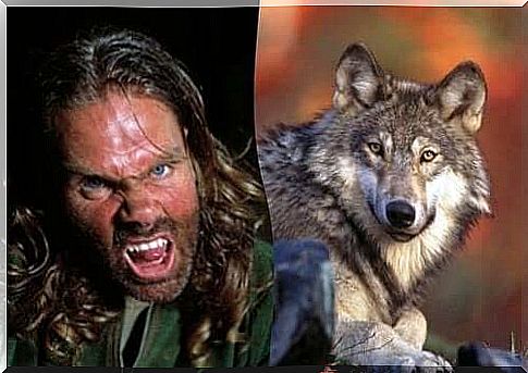 The photo of Ellis next to that of a wolf