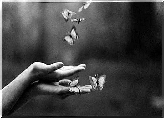 Two hands that butterflies come to because it's about the butterfly effect