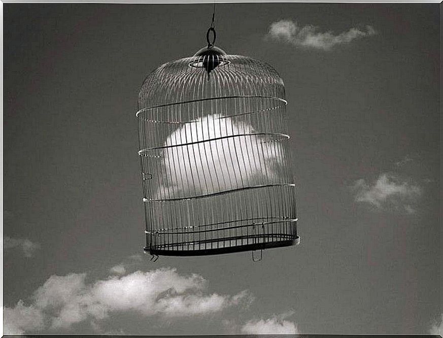 An empty birdcage hanging in the air