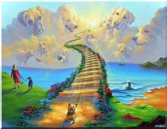 The Legend of the Rainbow Bridge, the final resting place for our pets