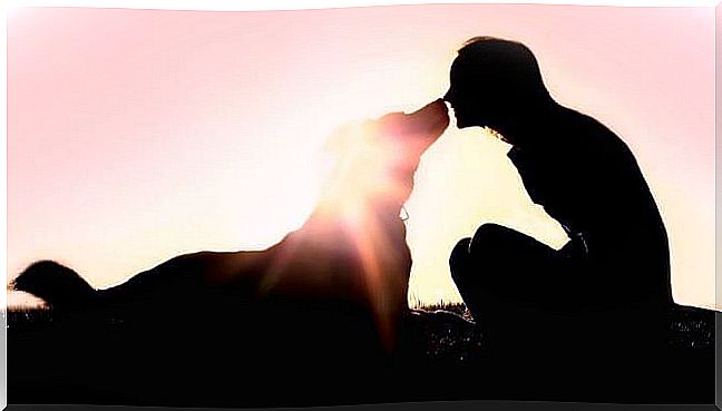 Woman Playing With Her Dog Before Going Over The Rainbow Bridge