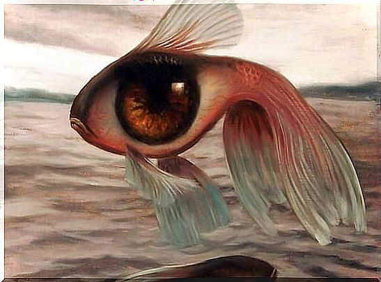 Fish whose body is an eye