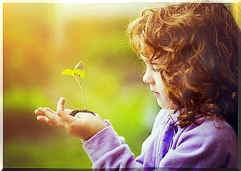 Growing plant in a child's hand