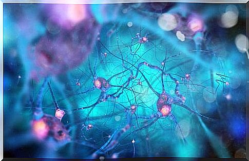 neurons